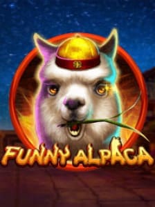 Funny Alpaca
